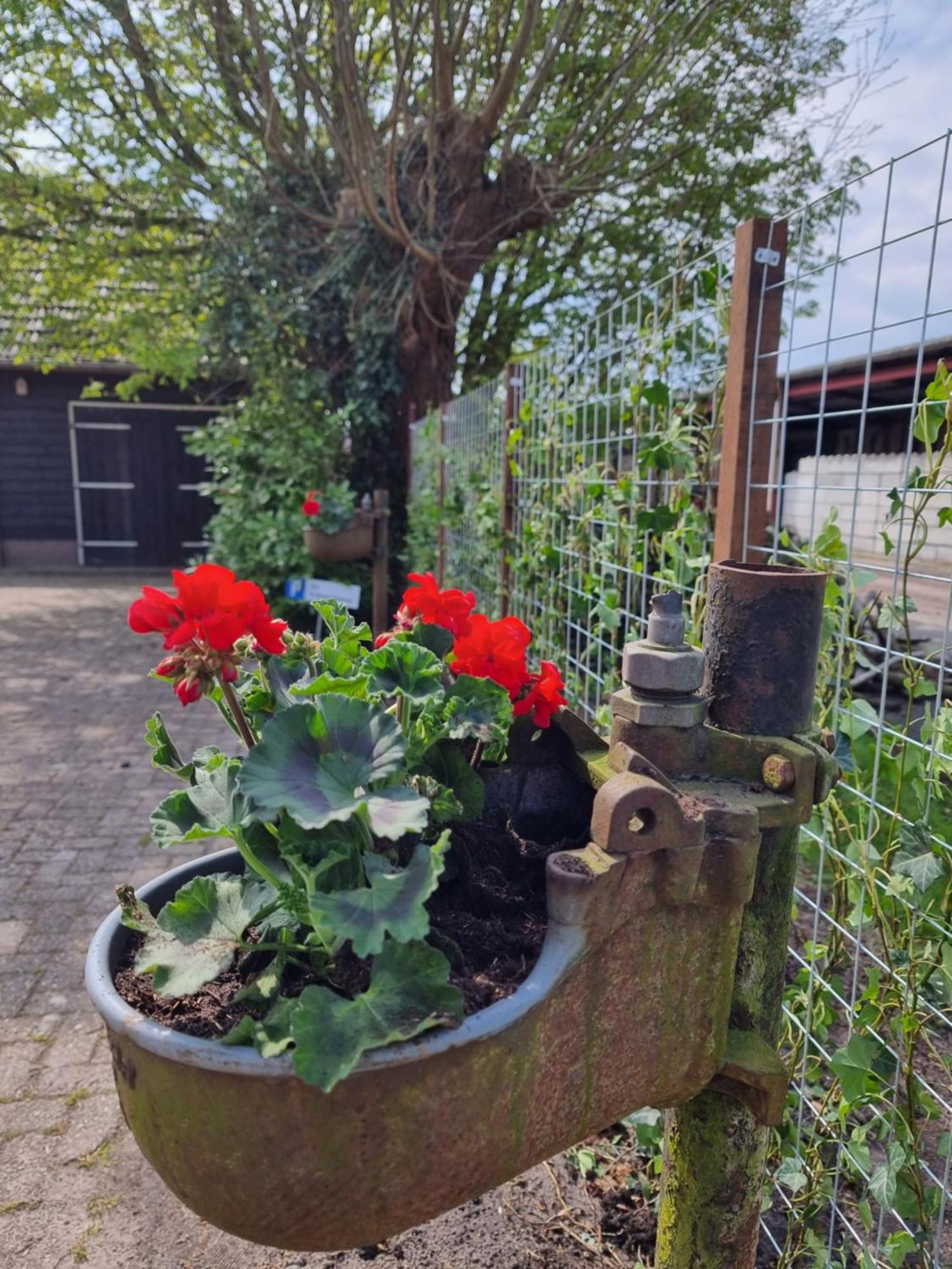 Bed and Breakfast De Schotse Hooglander Smilde Esterno foto