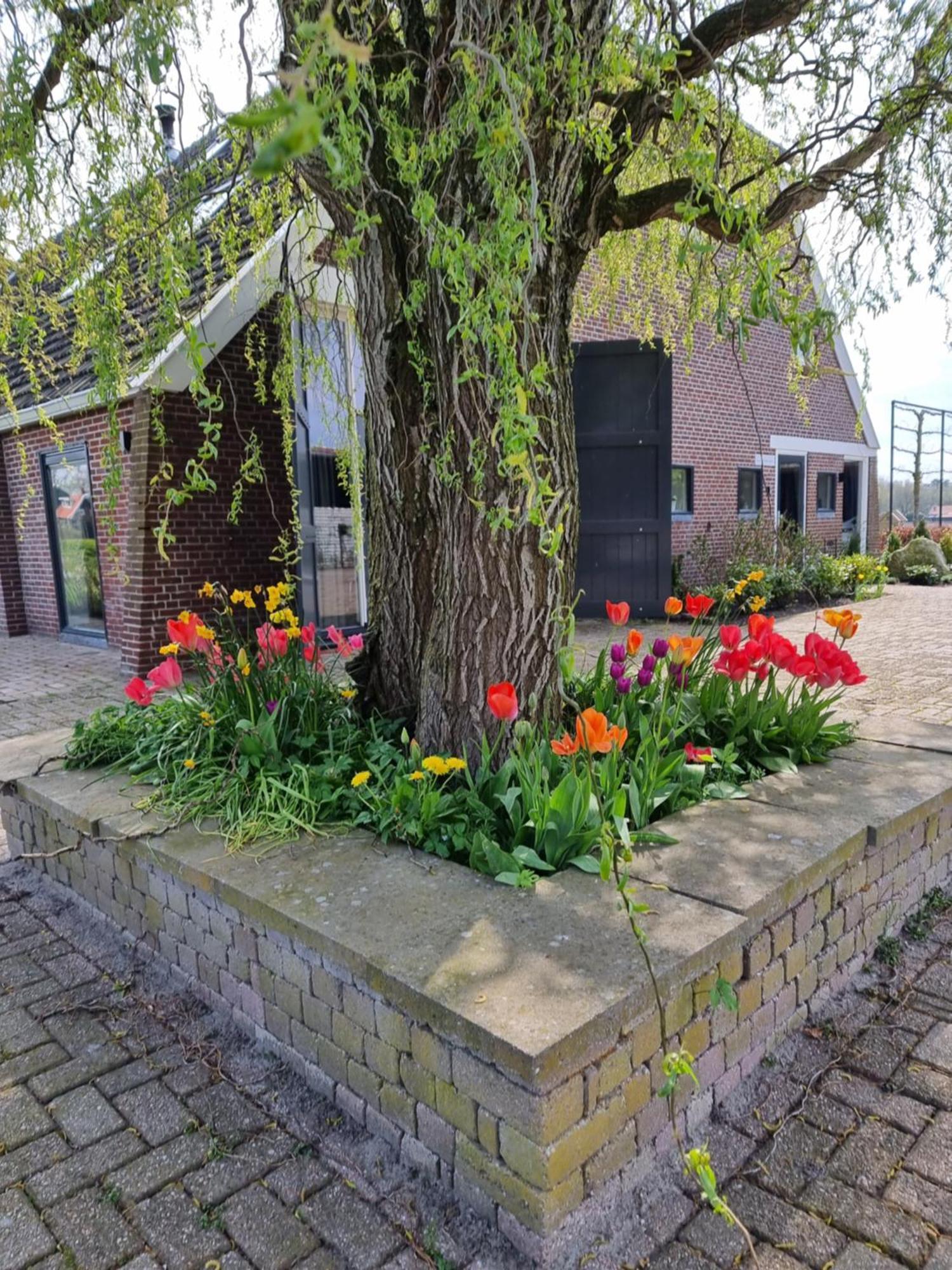 Bed and Breakfast De Schotse Hooglander Smilde Esterno foto